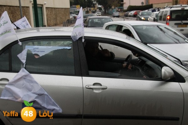 qafela sayarat haiywa (23).JPG